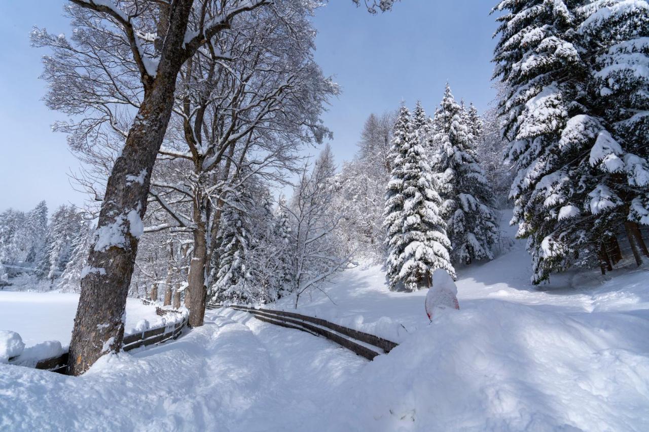 Chalet Traumblick Apartman Mauterndorf  Kültér fotó