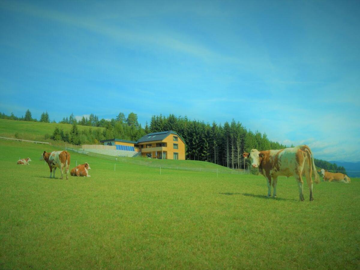 Chalet Traumblick Mauterndorf  Kültér fotó